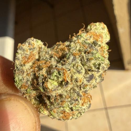 Flower 1g - Alien Technology (AAA Indoor)