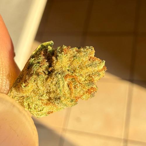 Flower 1g - Blue Cheese Pops (Greenhouse)