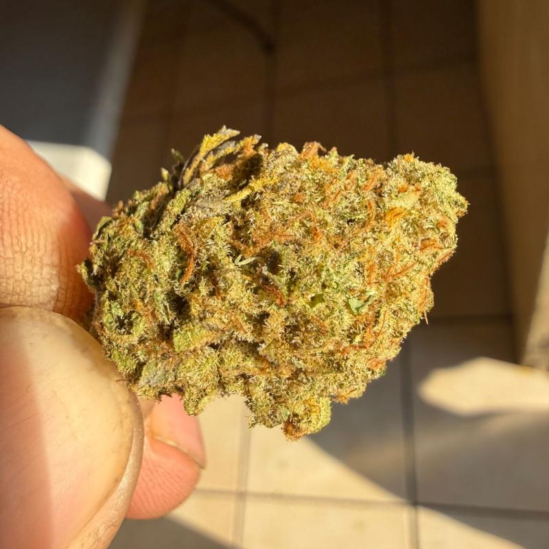 Flower 1g - Gelato 41 (Greendoor)