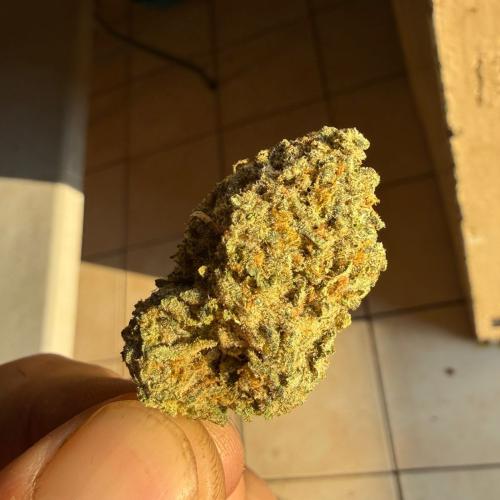 Flower 1g - Purple Panda (Greendoor)