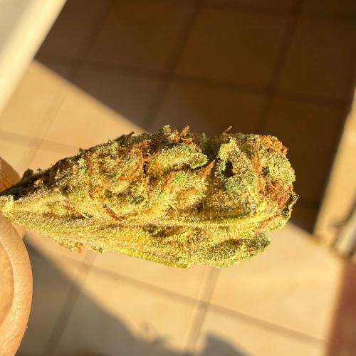 Flower 1g - Peanut Butter and Jelly (Greenhouse)
