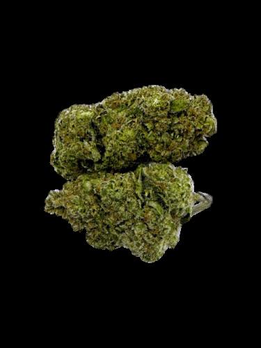 Flower 1g - Bruce Burner (Greendoor)