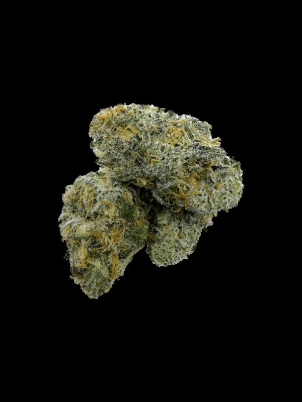 Flower 1g - Original Glue (Indoor)